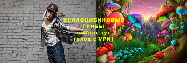 бошки Абдулино