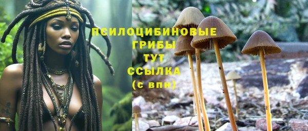 СК Абаза