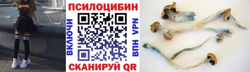 ОМГ ОМГ сайт  Дмитровск  Галлюциногенные грибы прущие грибы 